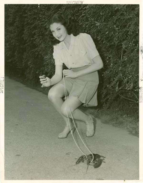 A woman taking a lobster for a walk