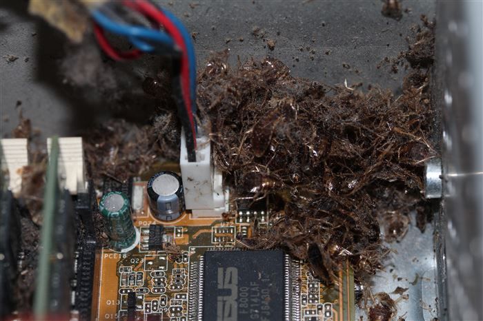 33 Odd And Bizarre Pics That Will Surely Pique Your Interest