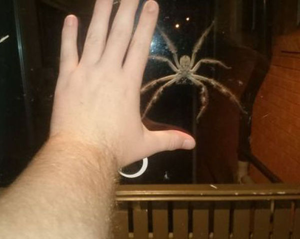 33 Odd And Bizarre Pics That Will Surely Pique Your Interest