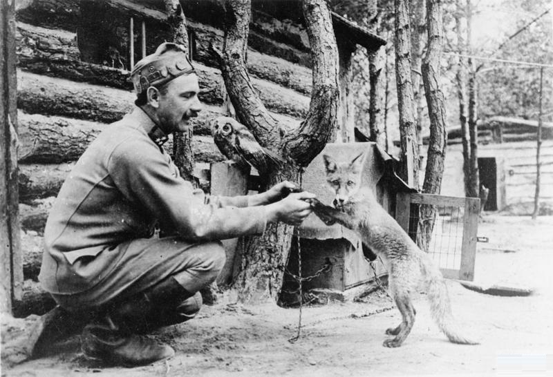 An Austrian-Hungarian soldier plays with his pet fox and owl, both chained to their cages, somewhere near the Eastern front in 1915.