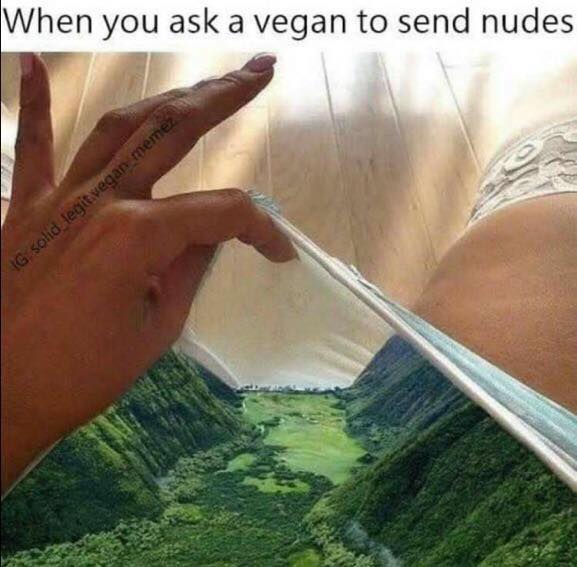 send nudes memes - When you ask a vegan to send nudes Ig solid legit.vegan meme