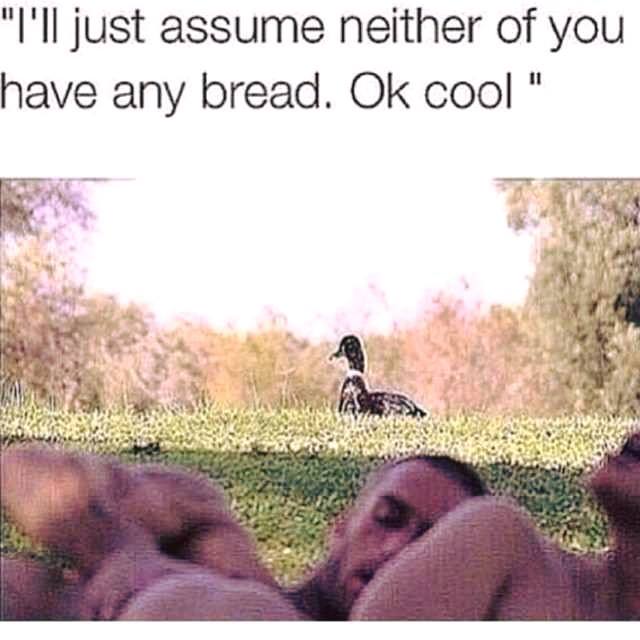 Funny sex meme of a duck seeing a couple having sex in a park and saying - I'll just assume neither of you have any bread. Ok cool