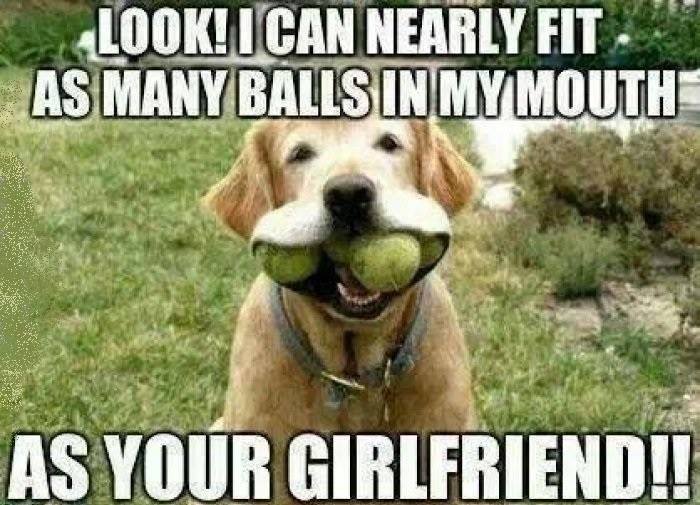 sextual memes - Look! Ican Nearly Fit." As Many Balls In My Mouth As Your Girlfriend!!