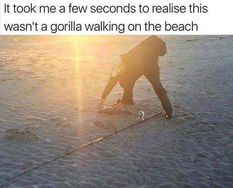 water resources - It took me a few seconds to realise this wasn't a gorilla walking on the beach