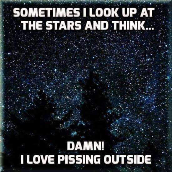 sky - Sometimes I Look Up At The Stars And Think... Damn! I Love Pissing Outside