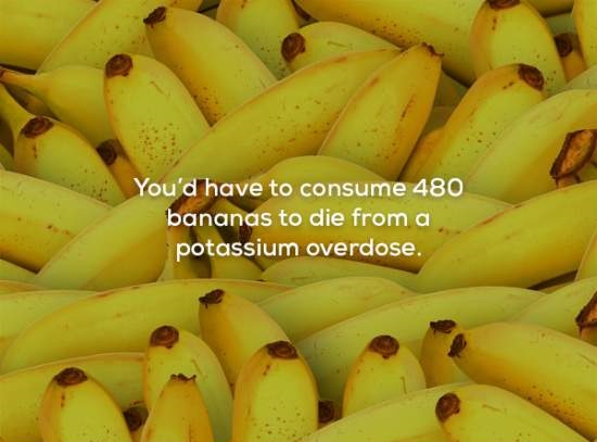 21 Completely Random Facts To Entertain Your Brain