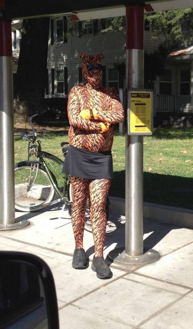 Weird picture of a guy wearing a cat costume and a skirt at a bus stop