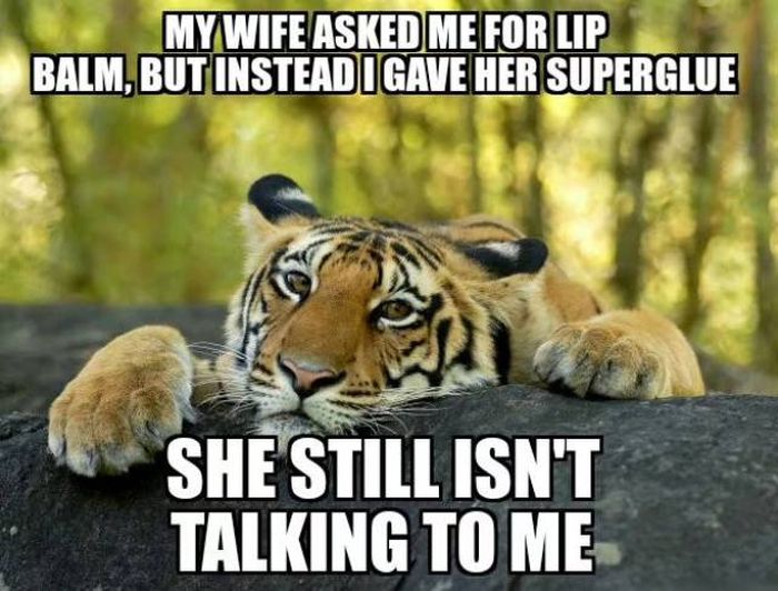 confession tiger - My Wife Asked Me For Lip Balm, But Instead Igave Her Superglue She Still Isn'T Talking To Me