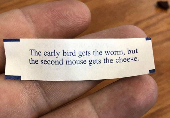 early bird memes - The early bird gets the worm, but the second mouse gets the cheese.