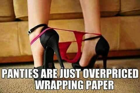 memes - Panties - Panties Are Just Overpriced Wrapping Paper