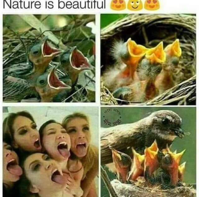 memes - nature is beautiful meme - Nature is beautiful lature is be