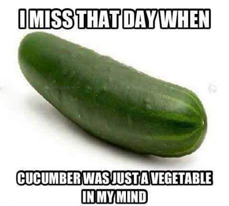 memes - cucumber - Imiss That Day When Cucumber Was Justa Vegetable In My Mind