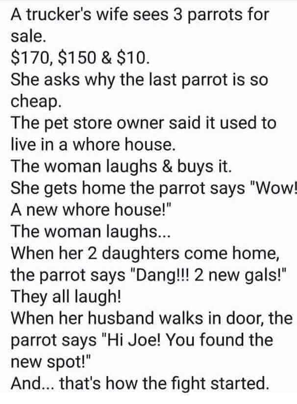 angle - A trucker's wife sees 3 parrots for sale $170, $150 & $10. She asks why the last parrot is so cheap. The pet store owner said it used to live in a whore house. The woman laughs & buys it. She gets home the parrot says "Wow! A new whore house!" The