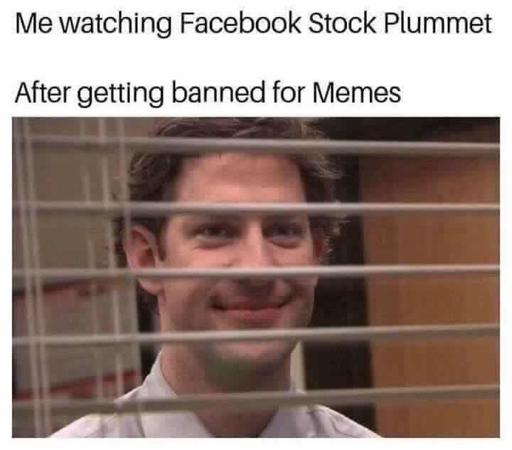 laughs in dm - Me watching Facebook Stock Plummet After getting banned for Memes