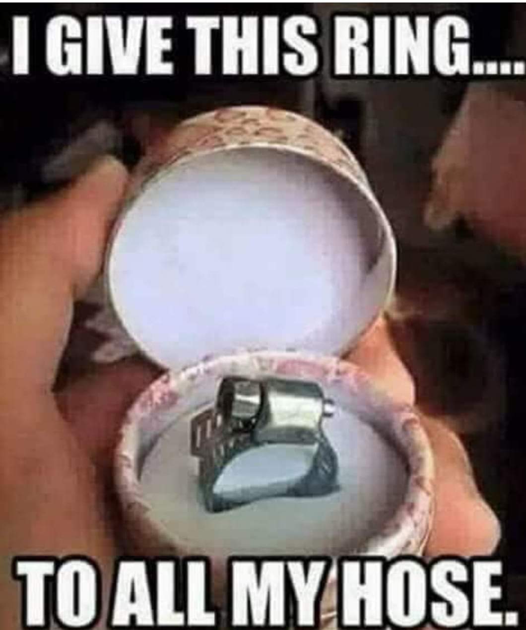 ring for all my hose - I Give This Ring.... To All My Hose.