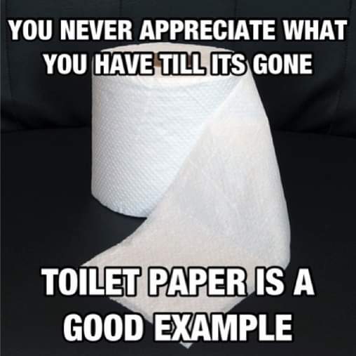 t shirt - You Never Appreciate What You Have Till Its Gone Toilet Paper Is A Good Example
