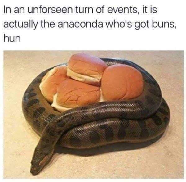 anaconda got buns - In an unforseen turn of events, it is actually the anaconda who's got buns, hun