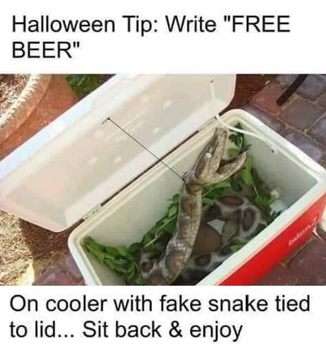 ideas for halloween haunted trail - Halloween Tip Write "Free Beer" On cooler with fake snake tied to lid... Sit back & enjoy