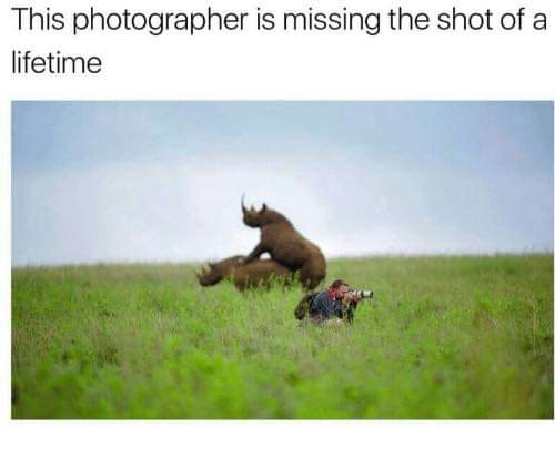 rhino photographer meme - This photographer is missing the shot of a lifetime