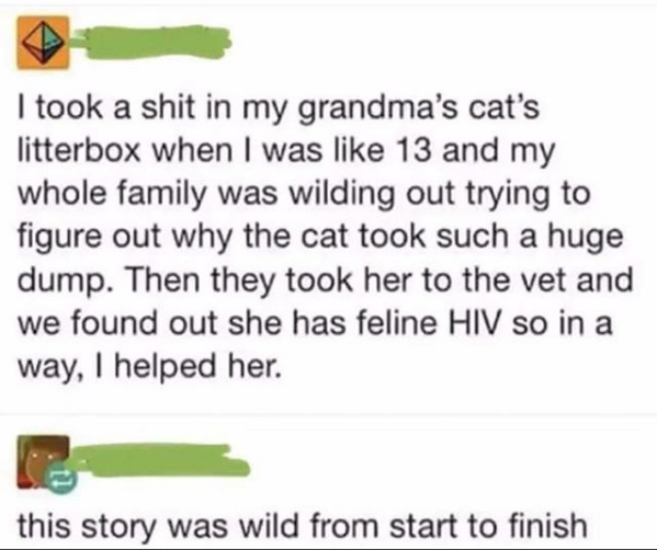 took a shit in my grandma's cats litter box - I took a shit in my grandma's cat's litterbox when I was 13 and my whole family was wilding out trying to figure out why the cat took such a huge dump. Then they took her to the vet and we found out she has fe