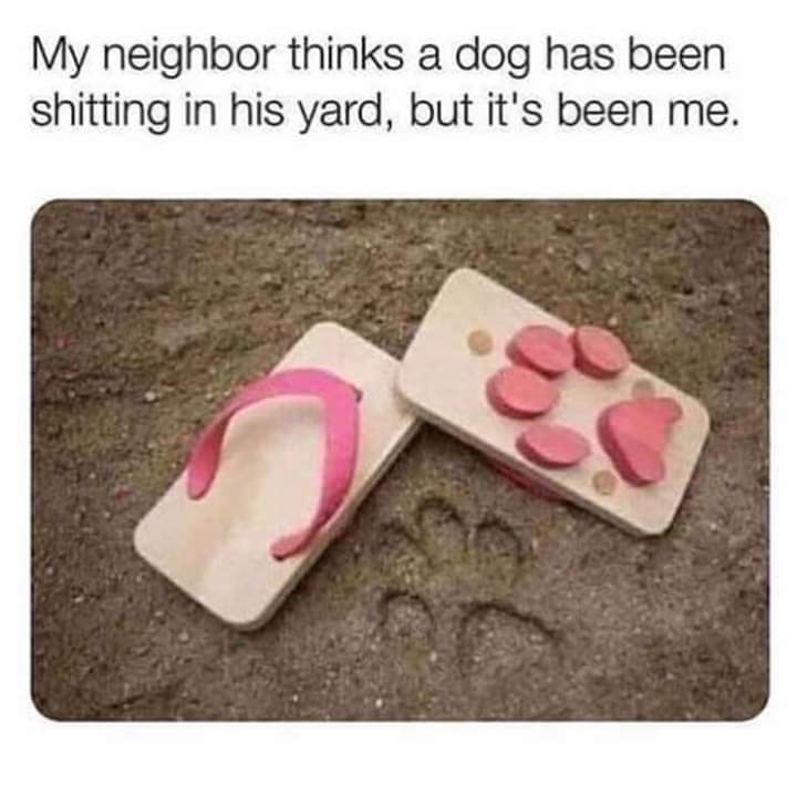 sunday meme about pranking people using fake dog paw prints