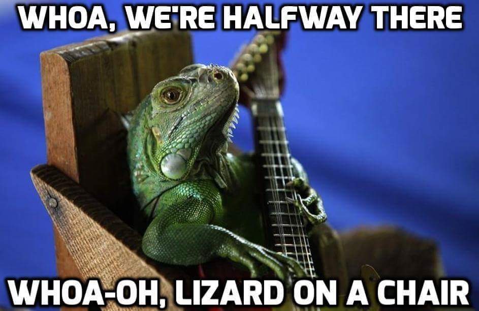 living on a prayer misheard lyrics - Whoa, We'Re Halfway There WhoaOh, Lizard On A Chair