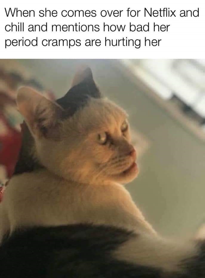 funny meme of When she comes over for Netflix and chill and mentions how bad her period cramps are hurting her