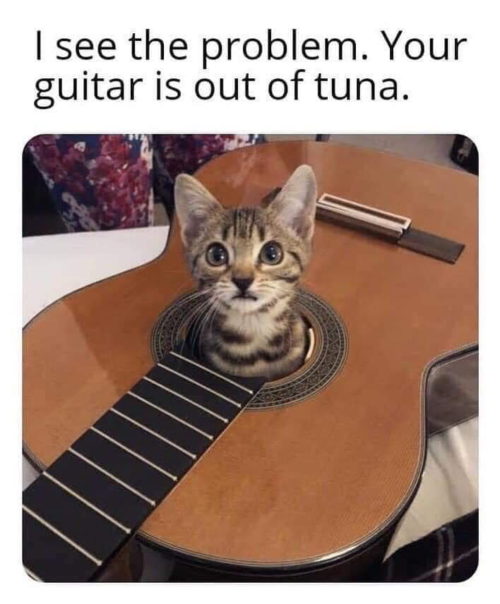 funny meme of your guitar is out of tuna - I see the problem. Your guitar is out of tuna. .