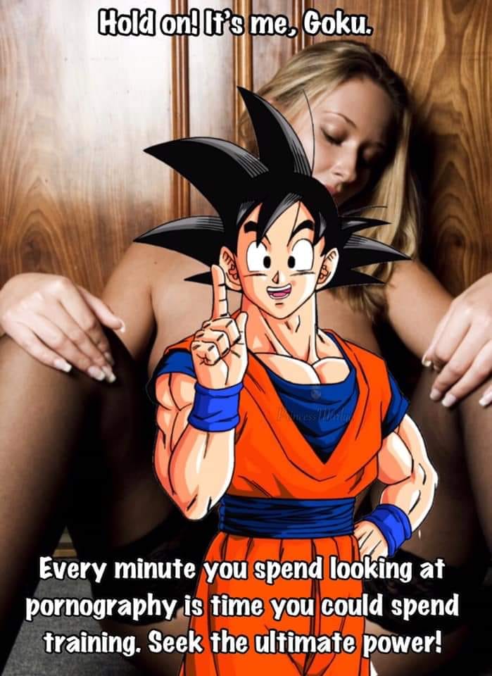 funny meme of cartoon - Hold on! 13 me. Goku. Every minute you spend looking at pornography is time you could spend training. Seek the ultimate power!