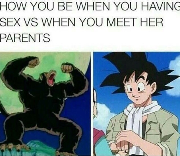 funny meme of dragon ball z memes - How You Be When You Having Sex Vs When You Meet Her Parents