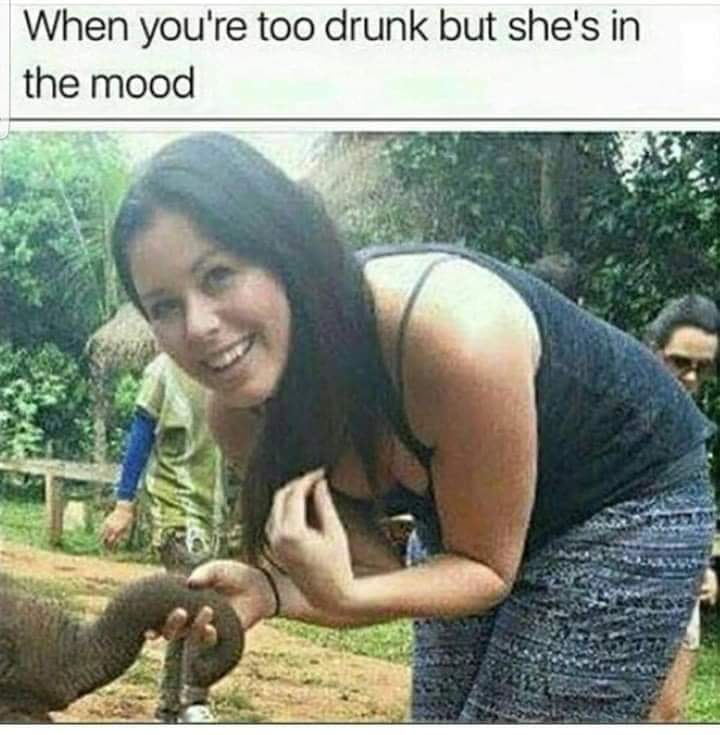 meme - you re too drunk but she's - When you're too drunk but she's in the mood