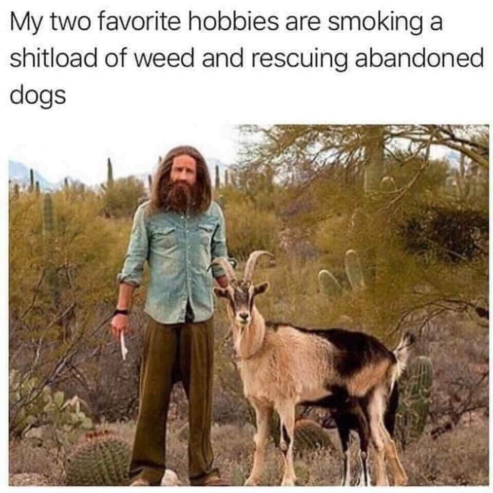 my two favorite hobbies are smoking weed - My two favorite hobbies are smoking a shitload of weed and rescuing abandoned dogs