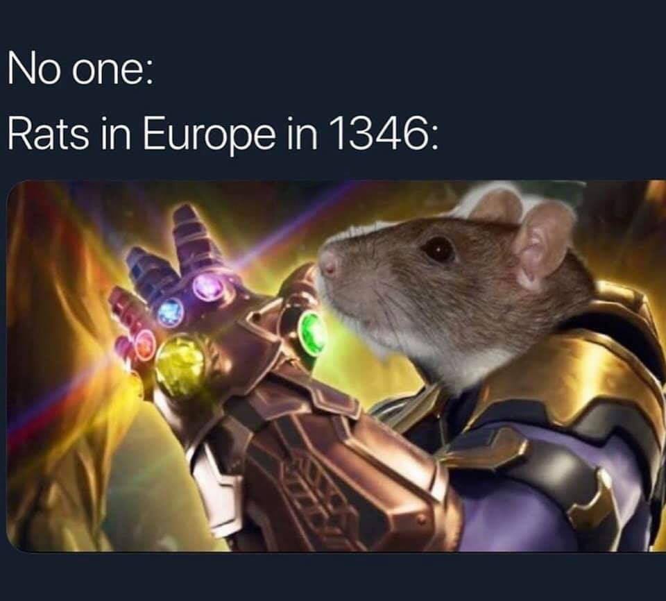 funny memes - Thanos - No one Rats in Europe in 1346