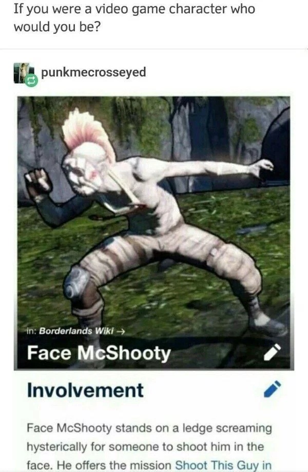 funny memes - borderlands 2 memes - If you were a video game character who would you be? punkmecrosseyed in Borderlands Wiki Face McShooty Involvement Face McShooty stands on a ledge screaming hysterically for someone to shoot him in the face. He offers t