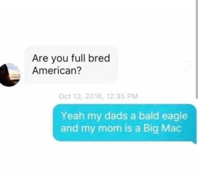funny crip quotes - Are you full bred American? , Yeah my dads a bald eagle and my mom is a Big Mac