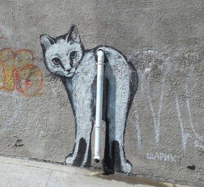 dirty pic of a graffiti which makes a cat have the tail of the sewage pipe