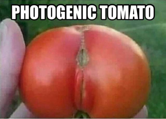 raunchy memes - natural foods - Photogenic Tomato