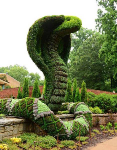 cool topiary
