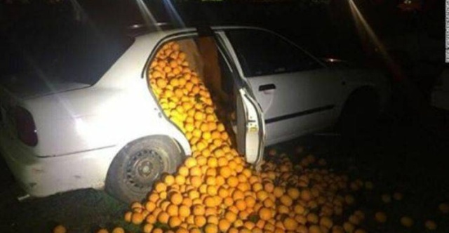 stolen oranges in car