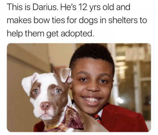 11 year old makes bow ties for dogs - This is Darius. He's 12 yrs old and makes bow ties for dogs in shelters to help them get adopted.