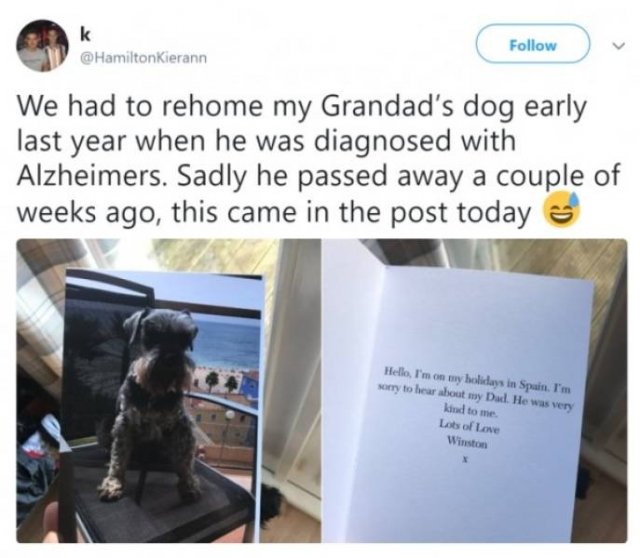 my dog loves me tweet - Kierann We had to rehome my Grandad's dog early last year when he was diagnosed with Alzheimers. Sadly he passed away a couple of weeks ago, this came in the post today Hello, I'm on my holidays in Spain. I'm sorry to hear about my