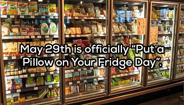 commercial refrigerator - Nete May 29th is officially "Put a Pillow on Your Fridge Day.