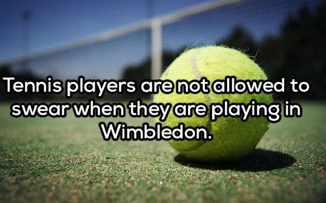 tennis ball - Tennis players are not allowed to swear when they are playing in Wimbledon.