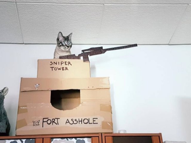 fort asshole cat meme - Sniper Tower Fort Asshole
