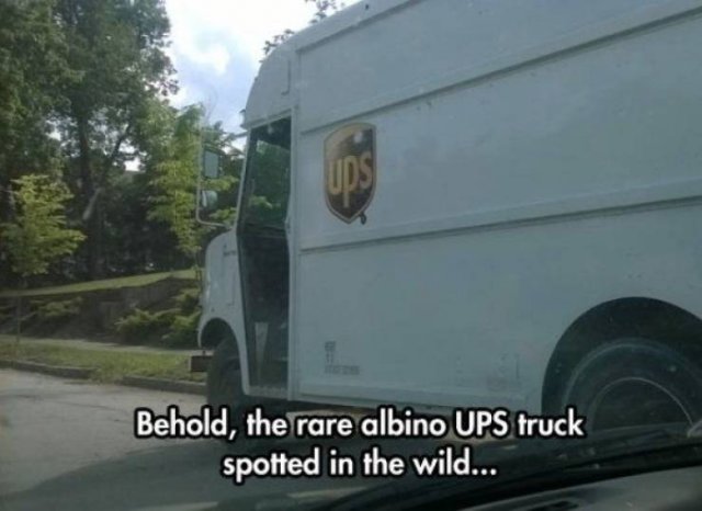 funny ups trucks - Behold, the rare albino Ups truck spotted in the wild...