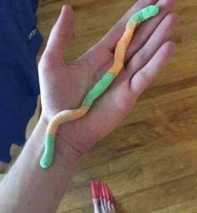 long gummy worm meme