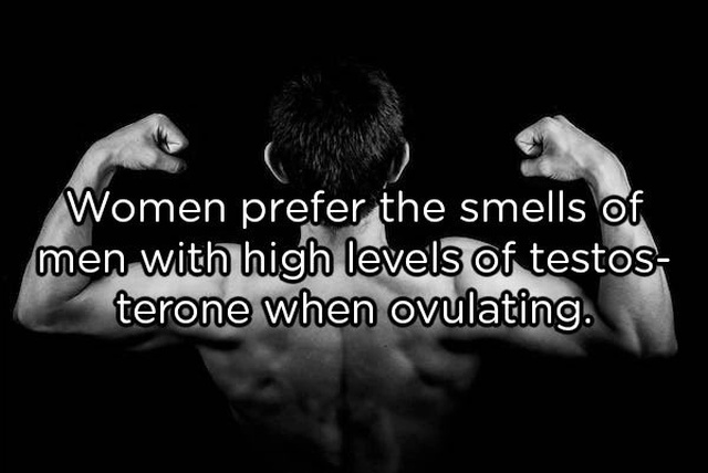monochrome photography - Women prefer the smells of men with high levels of testos terone when ovulating.