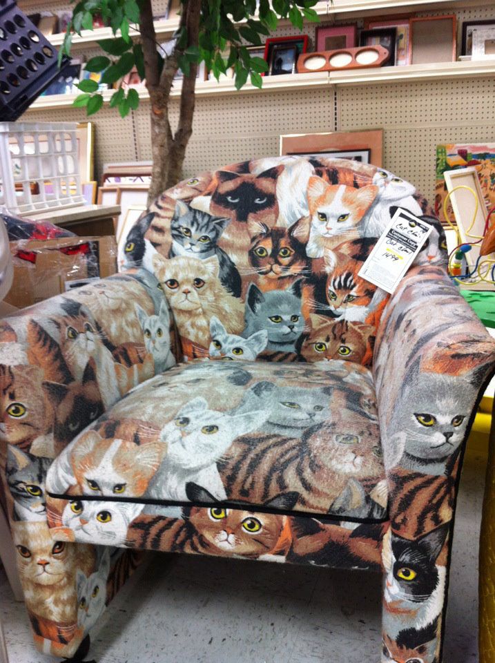 cat chair in the rye - Go