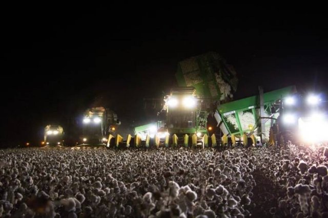 cotton picker at night