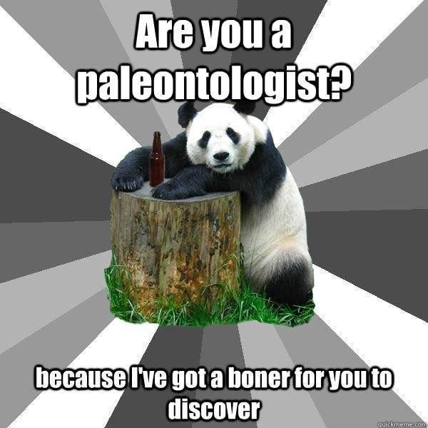 gimme that booty meme - Are you a paleontologist because I've got a boner for you to discover quickmeme.com